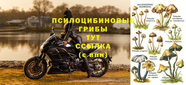 экстази Нея