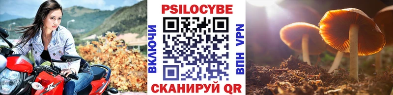 где продают наркотики Светлый Псилоцибиновые грибы мицелий